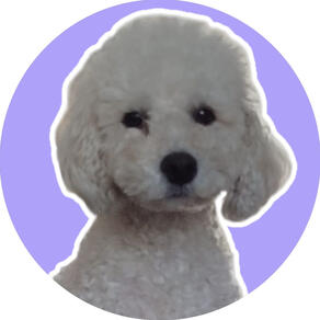 OREO ARTURO